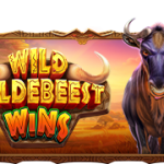 Wild Wildebeest Wins